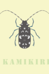 カミキリムシ